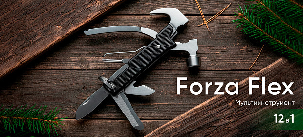 Forza Flex