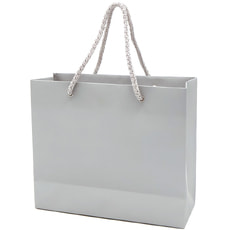 Пакет из бумаги Introduce