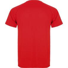 Спортивная футболка MONTECARLO мужская