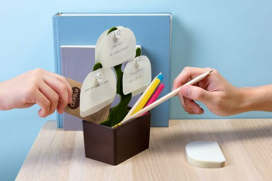 Органайзер настольный Bonsai