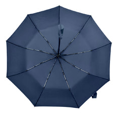 Зонт складной автоматический Forest Lotus