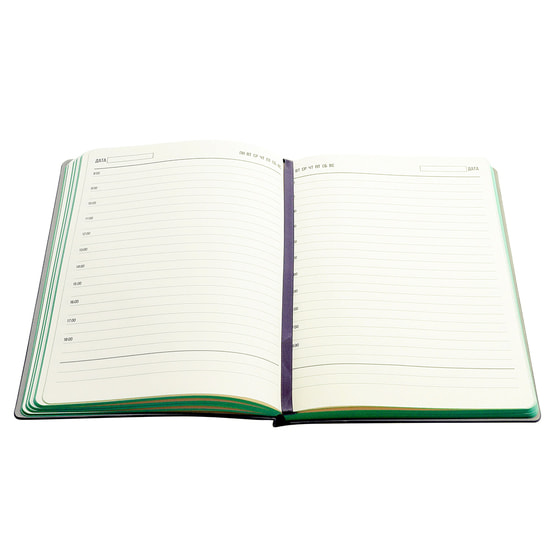 Ежедневник A5 недатированный Carisma в мягком переплёте, зеленый