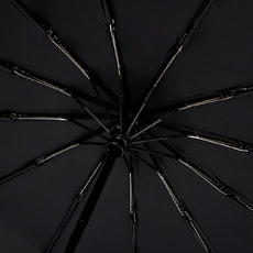 Автоматический противоштормовой зонт Ambra