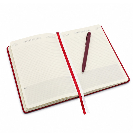 Подарочный набор Task & Pen, красный