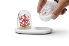 Солонка и перечница Coral Bleaching