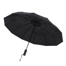 Автоматический противоштормовой зонт Ambra