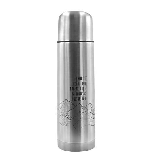 Термос Picnic Silver, серебристый