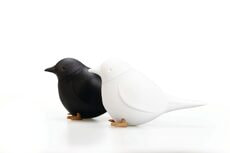 Набор для специй Sparrow Salt & Pepper