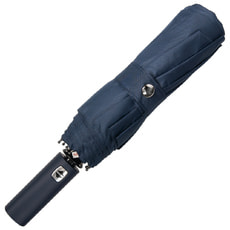 Зонт складной автоматический Forest Lotus