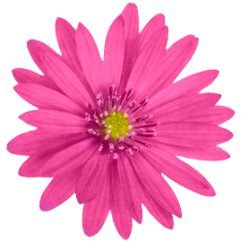 img_label_Сезонная